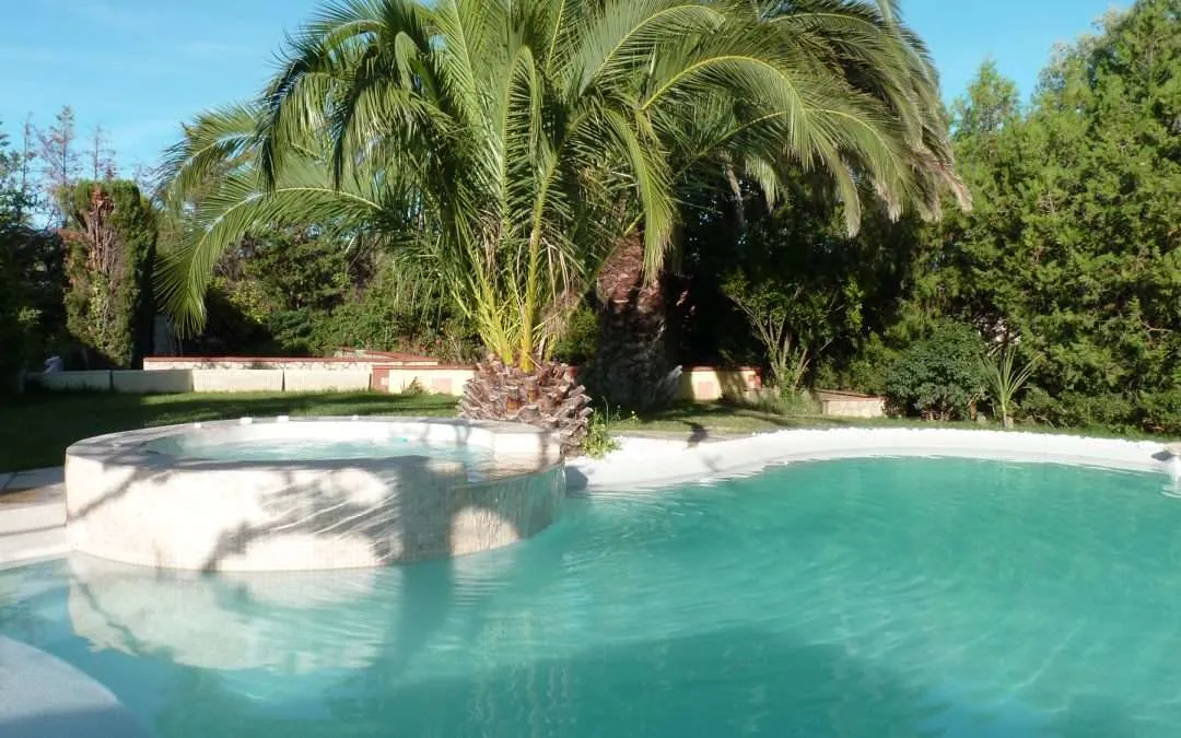 Algues vertes piscine: que faire ?