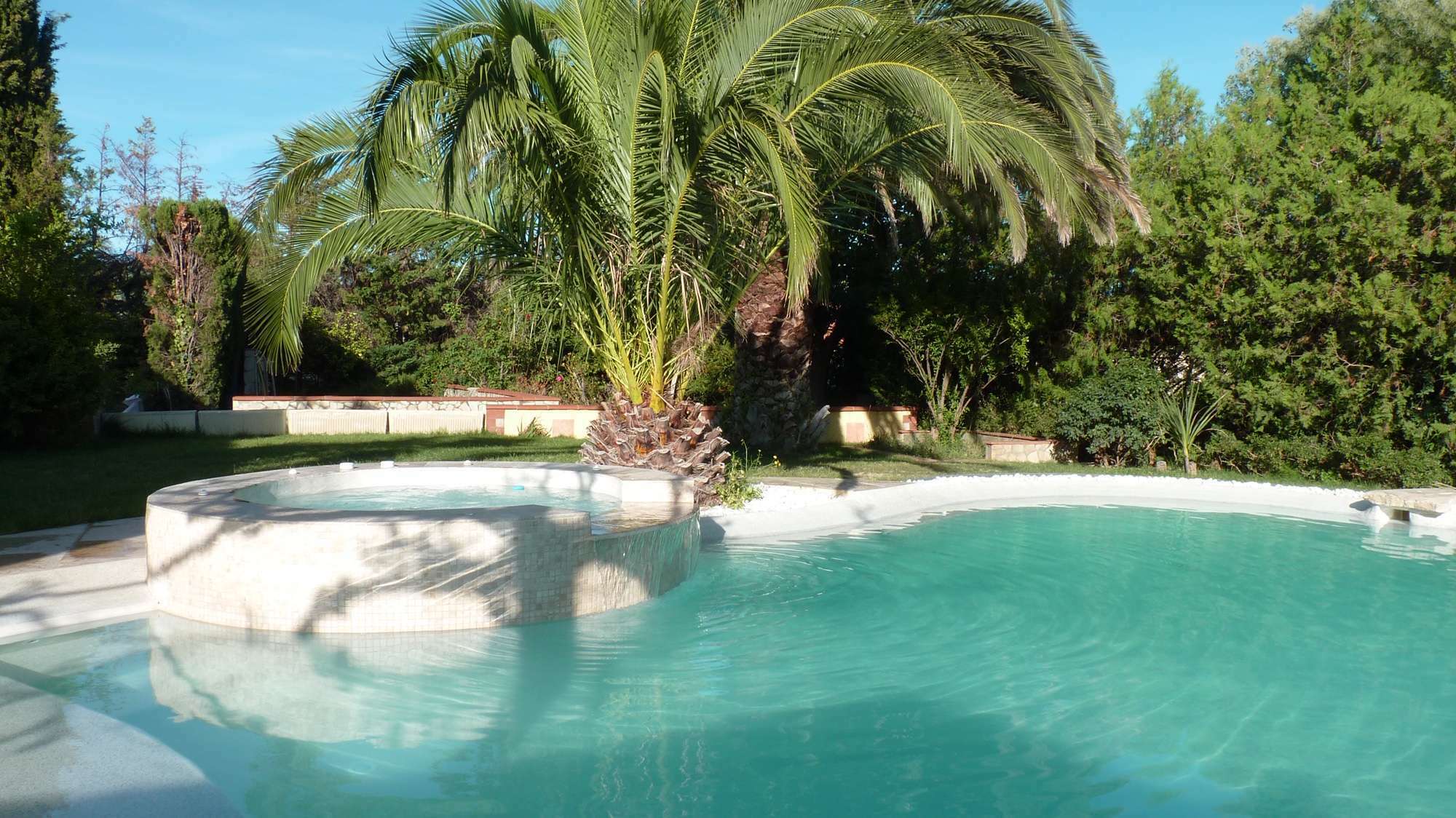 piscine-water-cleanser-originale-luxe