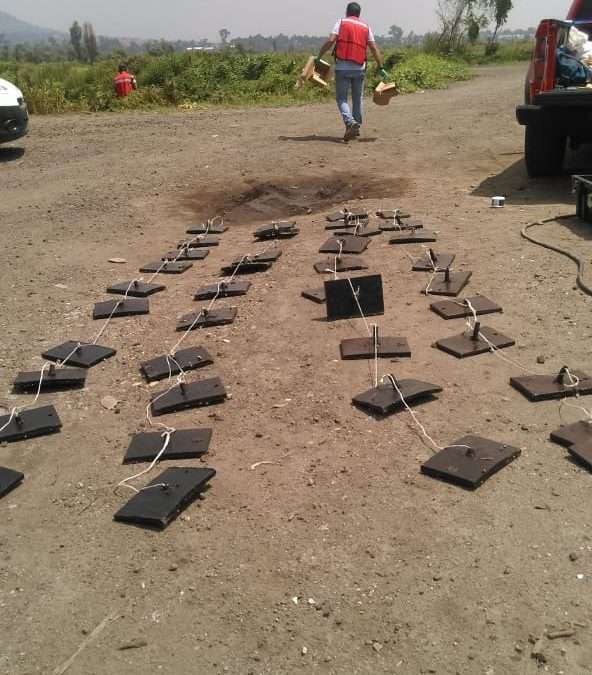 Algues vertes de Bretagne : La solution naturelle qui existe depuis 20 ans