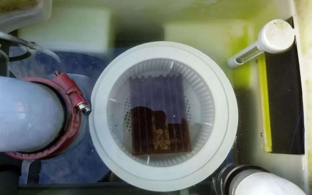 Installation du Water Cleanser en hiver